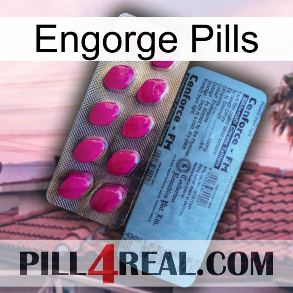 Engorge Pills 35.jpg